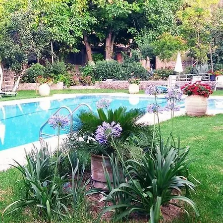 Katerina's Agios Gordios (Corfu)