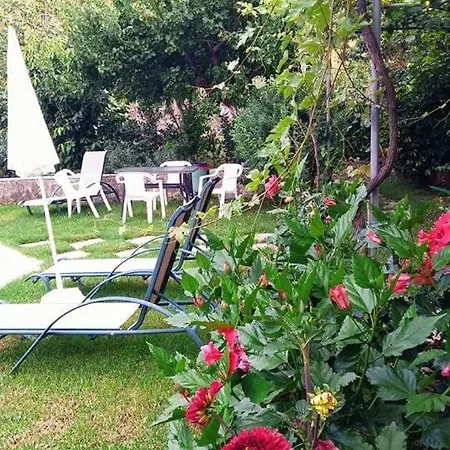 Lägenhet Katerina's