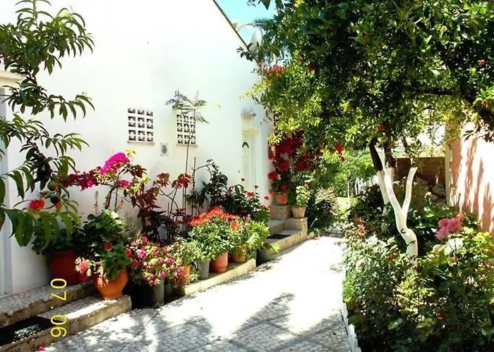Katerina's
