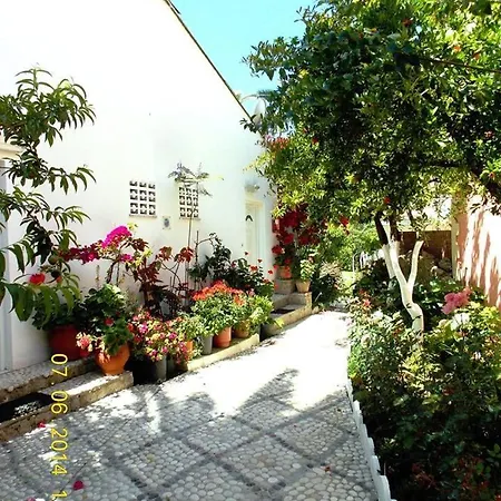 Katerina's