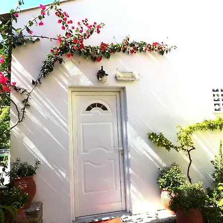 Katerina's 公寓 *